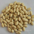 Chinese New Crop Blanched Peanut Kernel